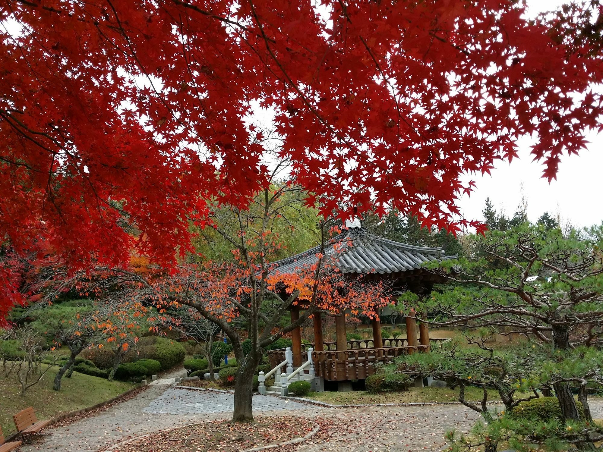 Bellus-Rose Pension Gyeongju Extérieur photo