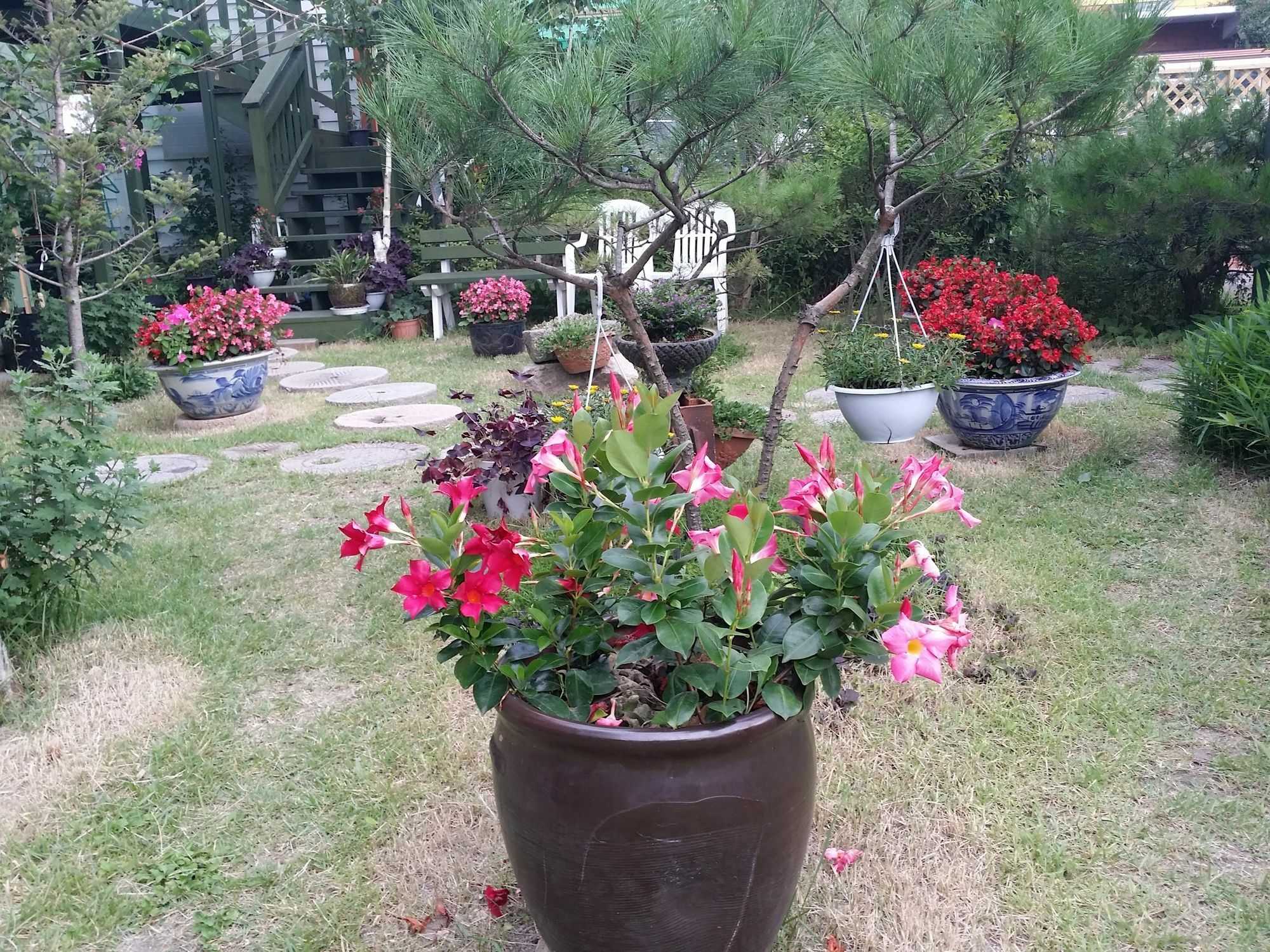 Bellus-Rose Pension Gyeongju Extérieur photo